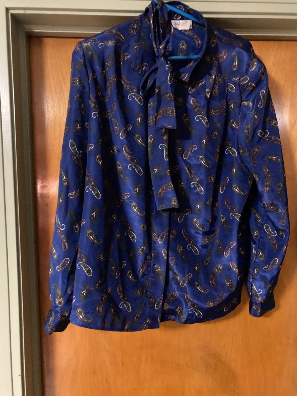 Distinction Vintage Made in USA Paisley Button Down Blouse with Bow Neck Tie 14